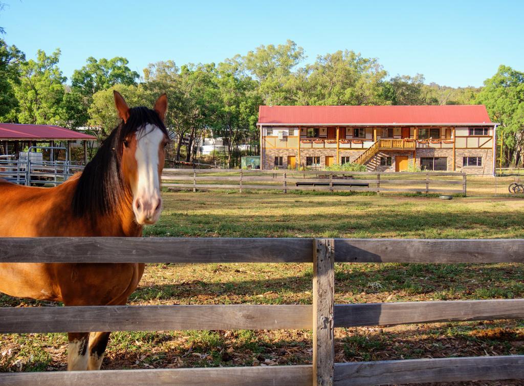 Pilliga Pottery Creative Farmstay Coonabarabran Camera foto
