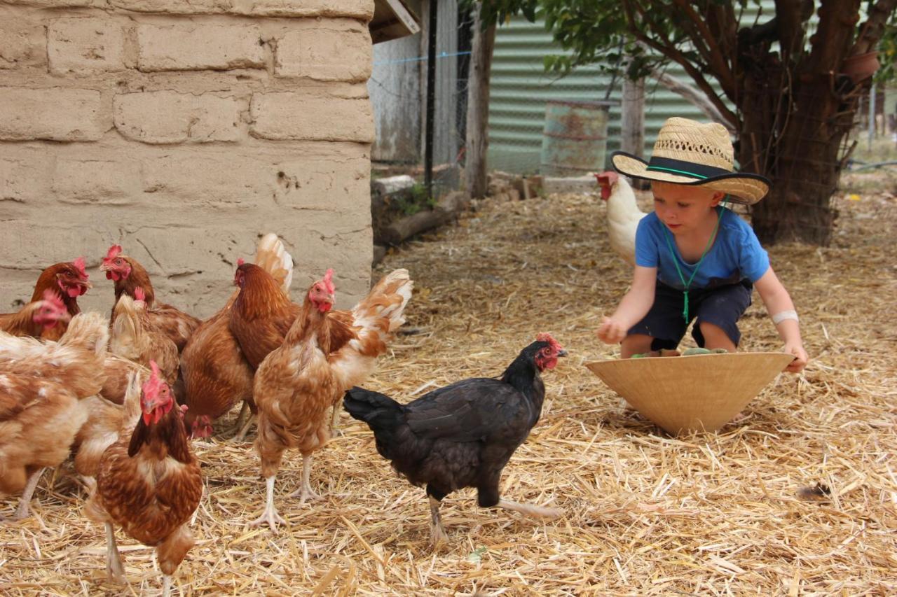 Pilliga Pottery Creative Farmstay Coonabarabran Esterno foto
